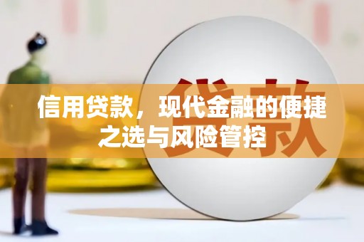 应县信用贷款，现代金融的便捷之选与风险管控