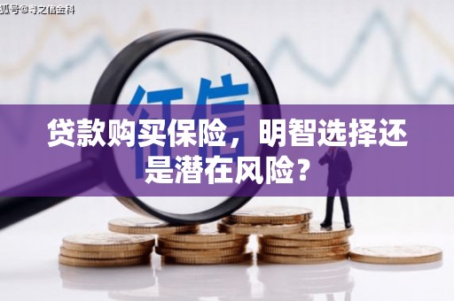 应县贷款购买保险，明智选择还是潜在风险？