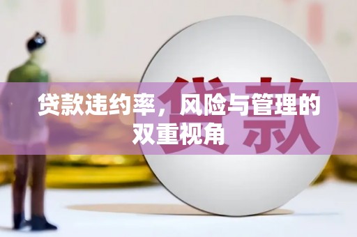 应县贷款违约率，风险与管理的双重视角