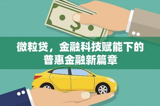 应县微粒贷，金融科技赋能下的普惠金融新篇章