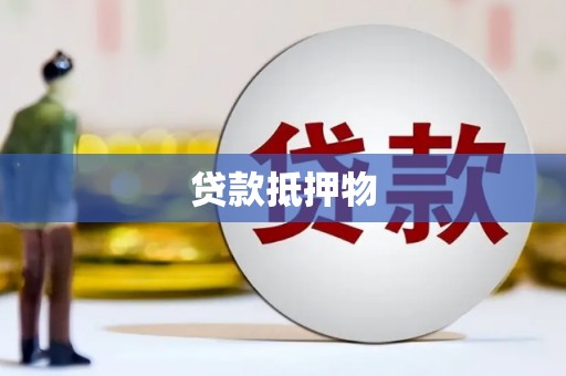 应县贷款抵押物