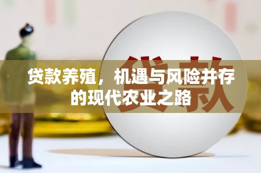 应县贷款养殖，机遇与风险并存的现代农业之路