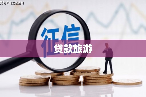 应县贷款旅游