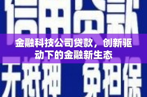 应县金融科技公司贷款，创新驱动下的金融新生态