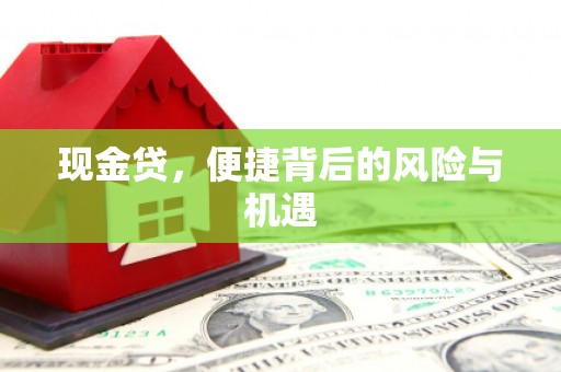 应县现金贷，便捷背后的风险与机遇