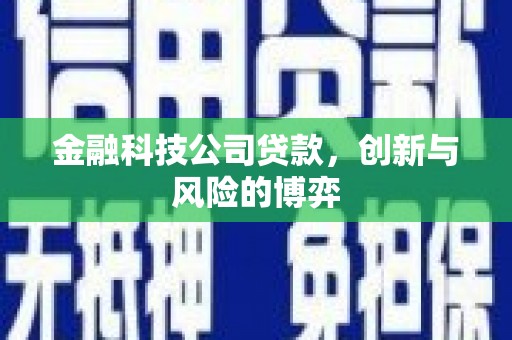 应县金融科技公司贷款，创新与风险的博弈