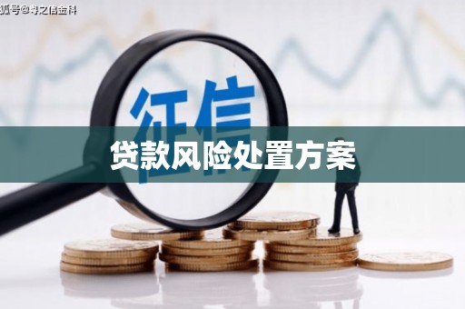 应县贷款风险处置方案