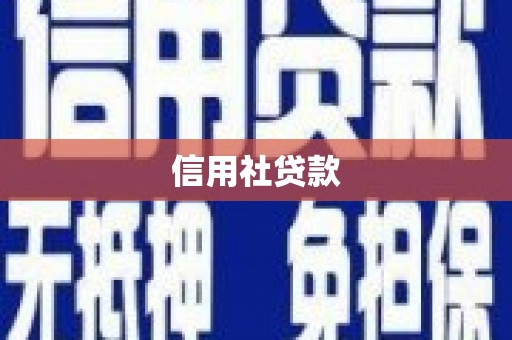 应县信用社贷款