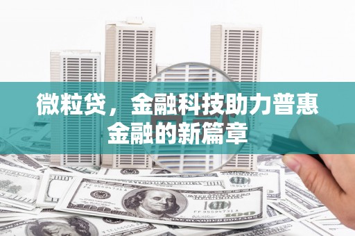 应县微粒贷，金融科技助力普惠金融的新篇章