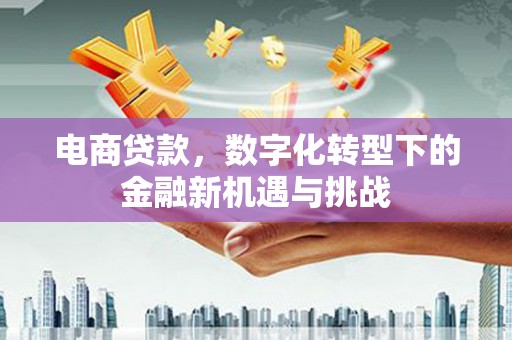 应县电商贷款，数字化转型下的金融新机遇与挑战