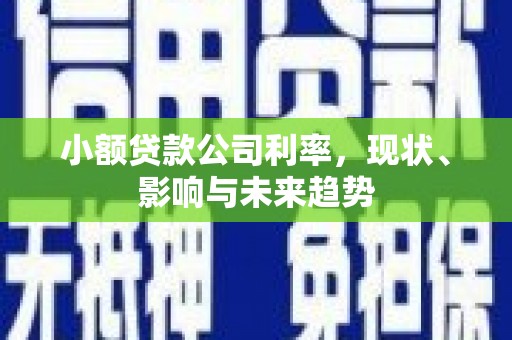 应县小额贷款公司利率，现状、影响与未来趋势