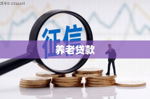 应县养老贷款