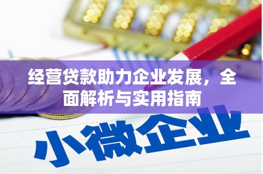 应县经营贷款助力企业发展，全面解析与实用指南