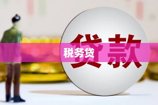 应县税务贷