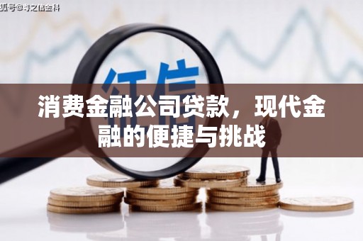 应县消费金融公司贷款，现代金融的便捷与挑战