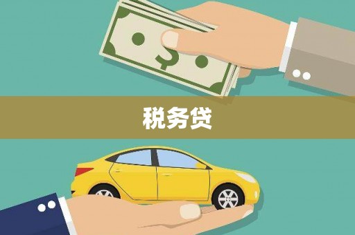 应县税务贷