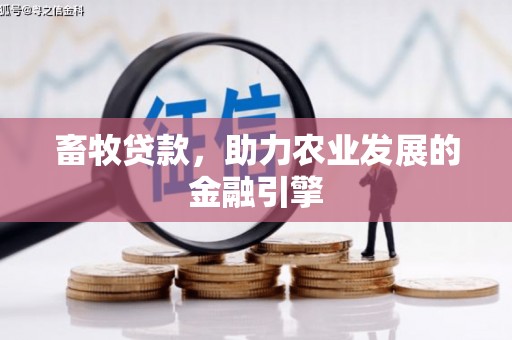 应县畜牧贷款，助力农业发展的金融引擎