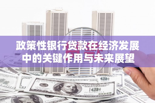 应县政策性银行贷款在经济发展中的关键作用与未来展望
