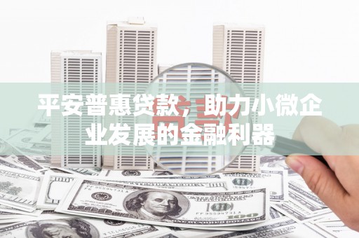 应县平安普惠贷款，助力小微企业发展的金融利器