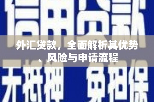 应县外汇贷款，全面解析其优势、风险与申请流程