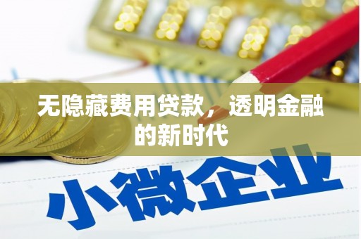 应县无隐藏费用贷款，透明金融的新时代