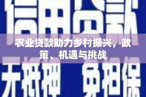 应县农业贷款助力乡村振兴，政策、机遇与挑战