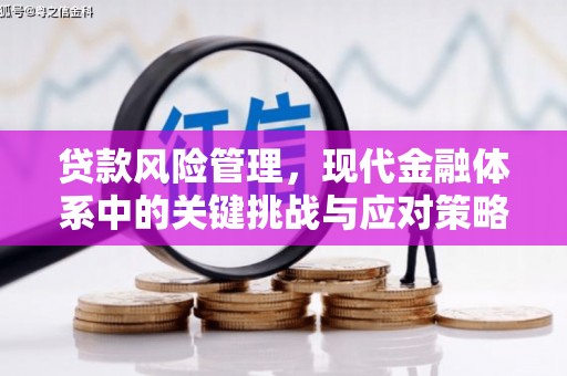 应县贷款风险管理，现代金融体系中的关键挑战与应对策略
