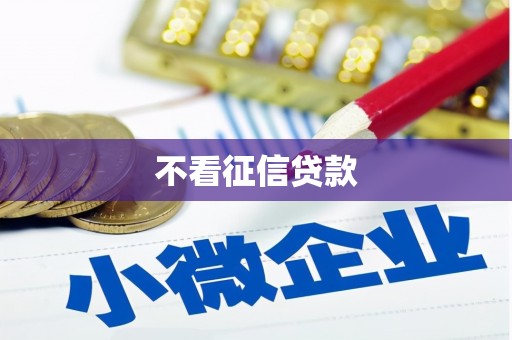 应县不看征信贷款