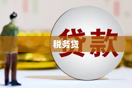 应县税务贷