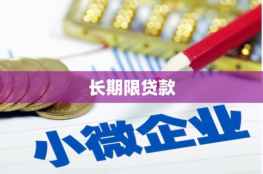 应县长期限贷款