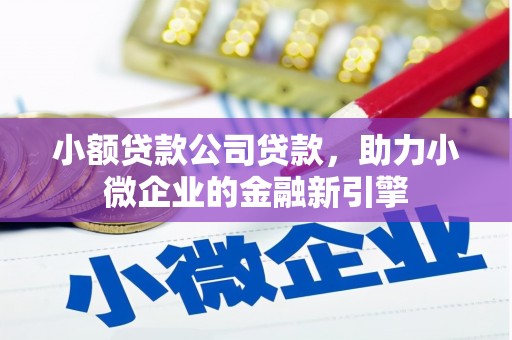 应县小额贷款公司贷款，助力小微企业的金融新引擎