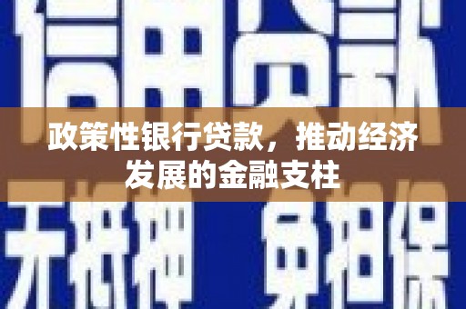 应县政策性银行贷款，推动经济发展的金融支柱
