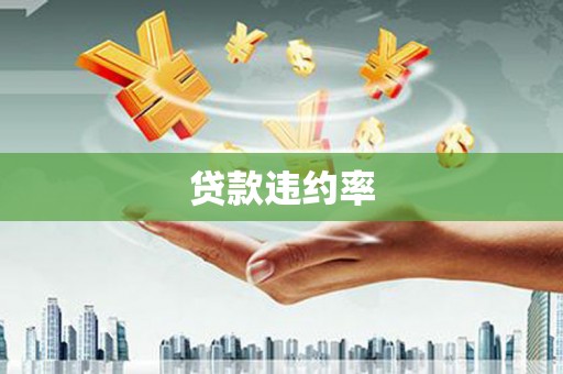 应县贷款违约率