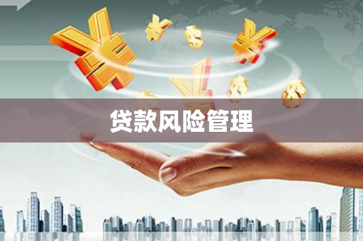 应县贷款风险管理