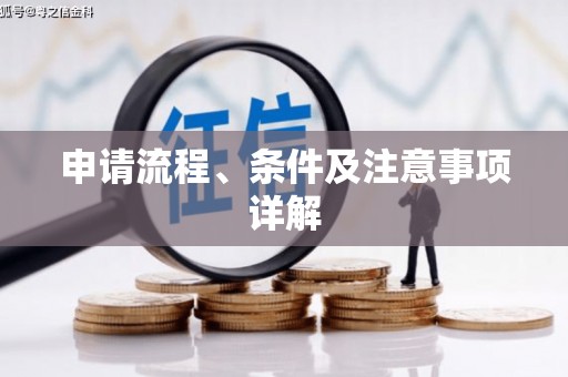 应县申请流程、条件及注意事项详解