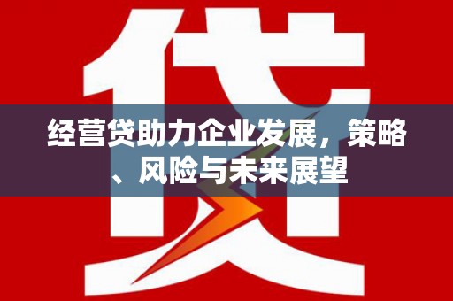 应县经营贷助力企业发展，策略、风险与未来展望