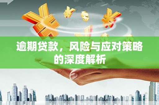 应县逾期贷款，风险与应对策略的深度解析