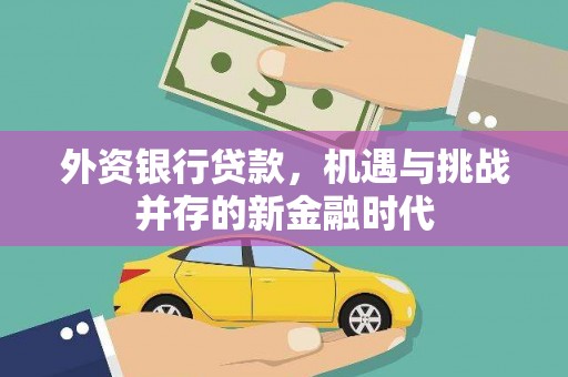 应县外资银行贷款，机遇与挑战并存的新金融时代