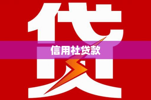 应县信用社贷款