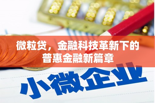 应县微粒贷，金融科技革新下的普惠金融新篇章