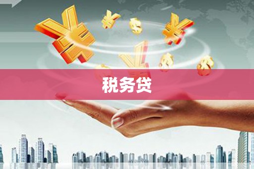 应县税务贷