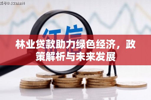应县林业贷款助力绿色经济，政策解析与未来发展