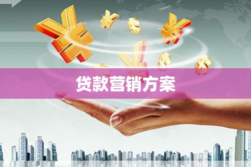 应县贷款营销方案