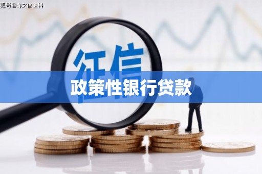 应县政策性银行贷款