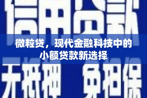 应县微粒贷，现代金融科技中的小额贷款新选择