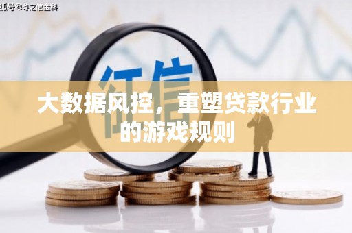 应县大数据风控，重塑贷款行业的游戏规则