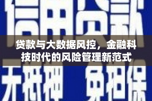 应县贷款与大数据风控，金融科技时代的风险管理新范式