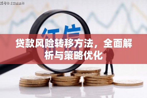 应县贷款风险转移方法，全面解析与策略优化