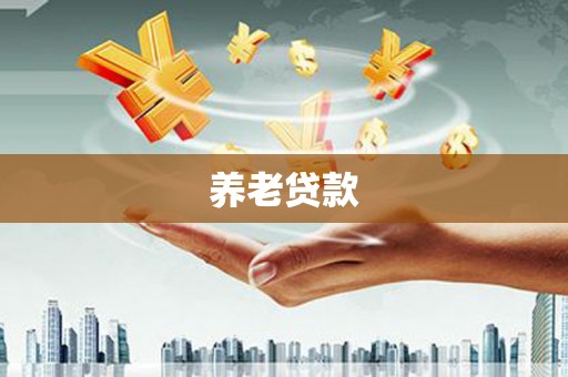 应县养老贷款