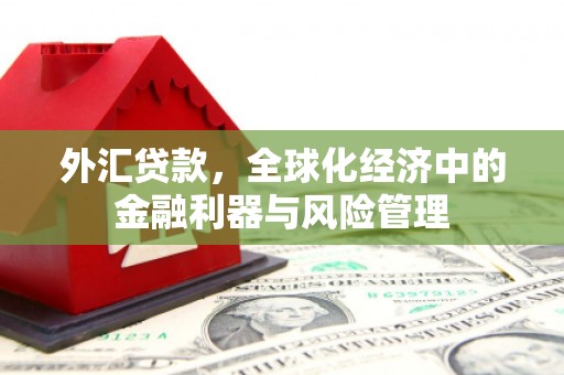应县外汇贷款，全球化经济中的金融利器与风险管理